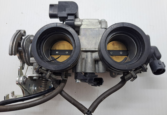 GL1800 Throttle Body