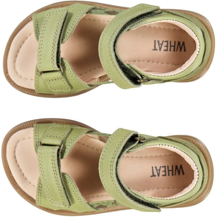 Wheat Footwear Macey open toe Prewalker Sandals 4121 heather green