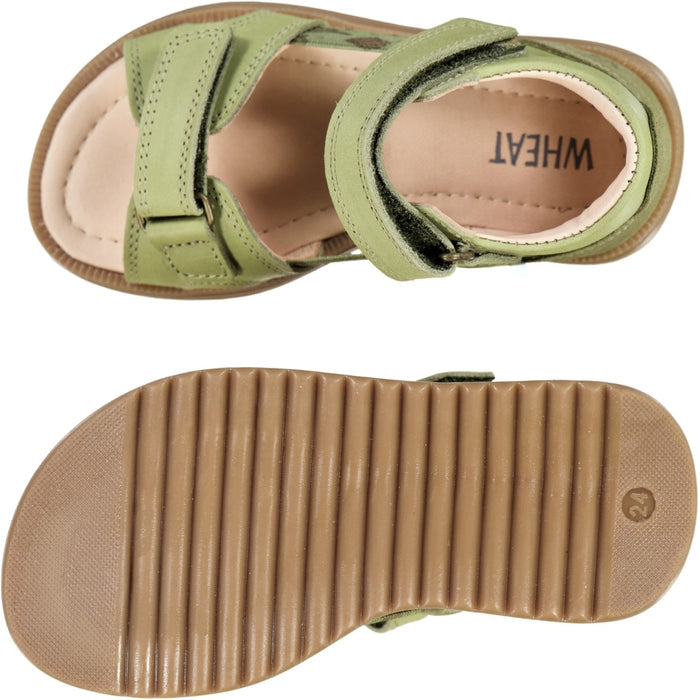 Wheat Footwear Macey open toe Prewalker Sandals 4121 heather green