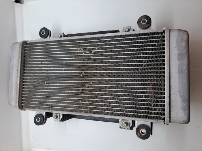 Ninja 300 Radiator