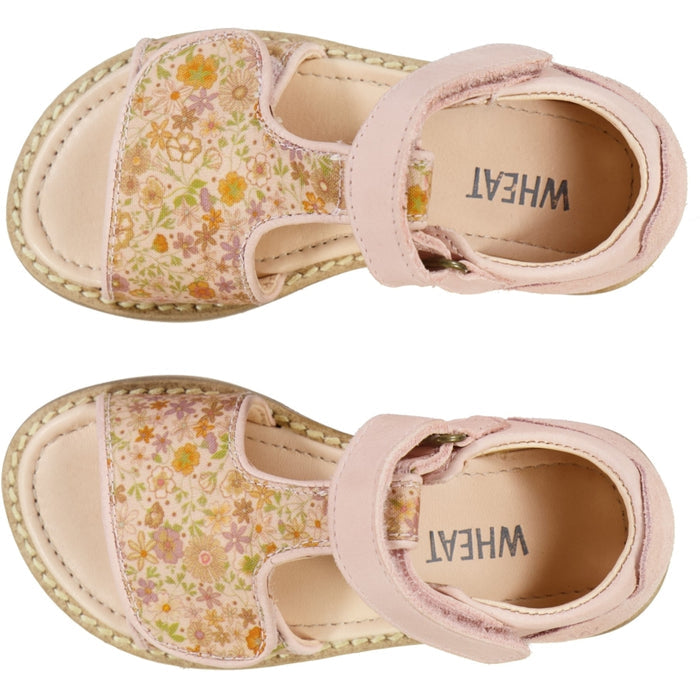Wheat Footwear Payton T-bar sandal Sandal 2025 rose sand