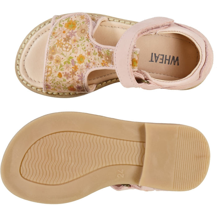 Wheat Footwear Payton T-bar sandal Sandal 2025 rose sand