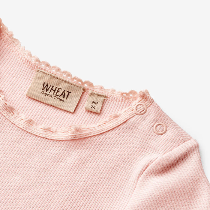 Wheat Main Rib T-Shirt S/S Katie Jersey Tops and T-Shirts 2281 rose ballet