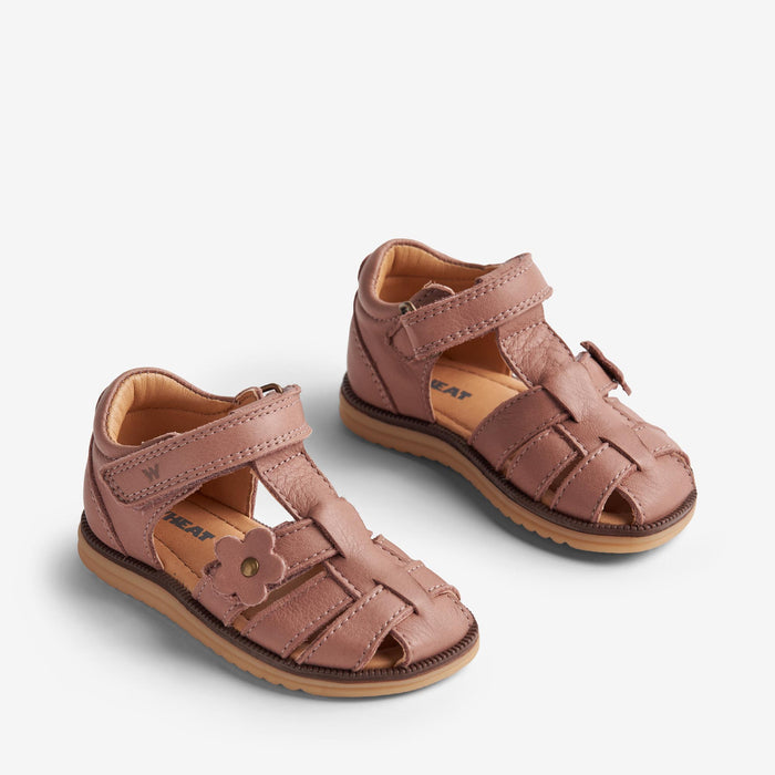 Wheat Footwear Sandal Closed Toe Sky Flower Prewalker Sandals 2021 old rose