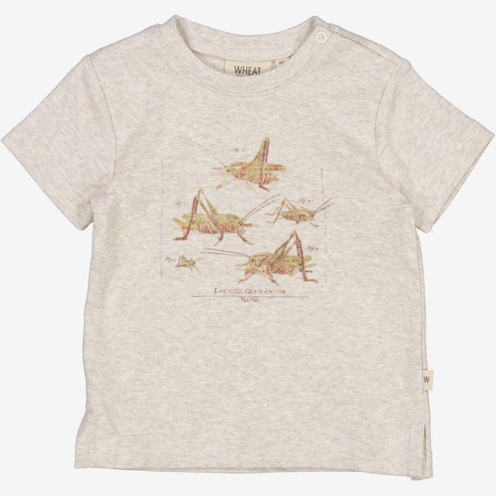 Wheat Main  T-Shirt Grasshoppers | Baby Jersey Tops and T-Shirts 5060 fossil melange