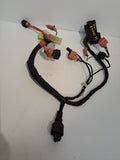 TL1000R Headlight Speedo Harness