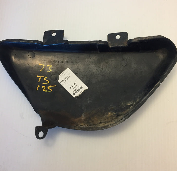 TS125 Left Side Cover