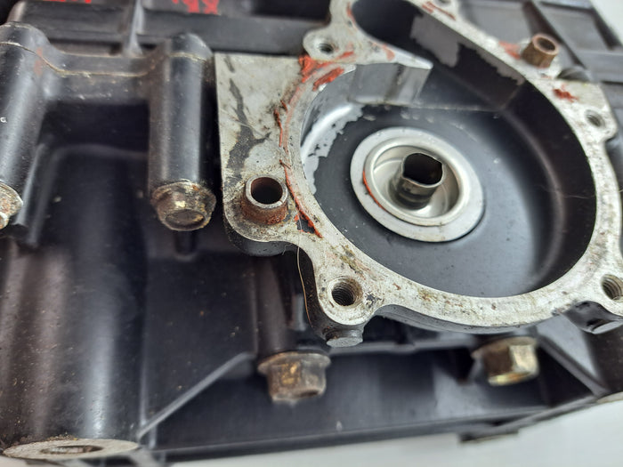 Wildcat 650 Crankcase Assembly