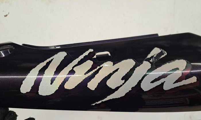 ZX-6R Tail Section
